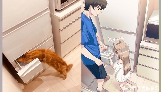 猫咪|想让猫咪变成人变是不可能的,但画师可以将其画出来!