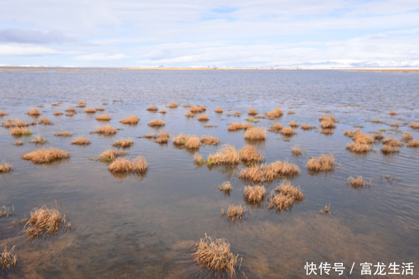 若尔盖花湖不飞花，却是中国最美的高寒湿地