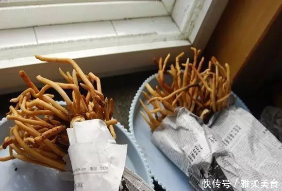 消毒|君子兰根部冒出小芽怎么办只需5个步骤，一盆变多盆很简单