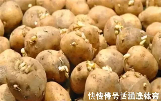 豆芽|8种不宜常吃的蔬菜,南瓜排最后,排首位的不少人或许天天吃