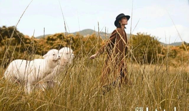 羊驼绒 这件羊驼绒大衣,比拥抱更暖!