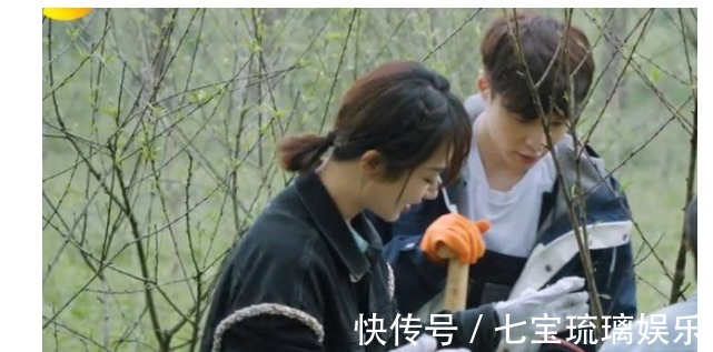 辟謠|楊紫，求你可別再上《向往的生活》了