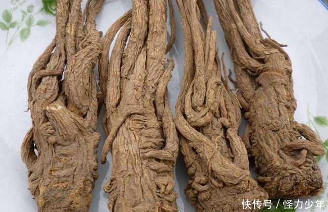 黑芝麻|女人跨过40以后,必须常吃这4种食物补补,保持年轻不衰老!