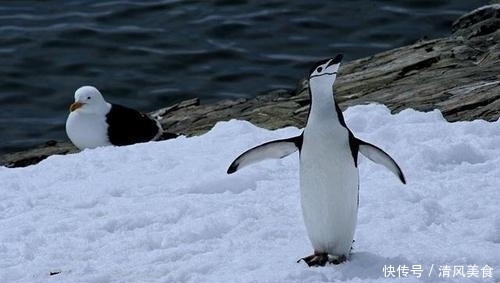 35个冷知识：或许有点始料不及，但却真真存在于地球各个角落