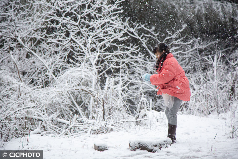 icphoto|新春雪绒绒