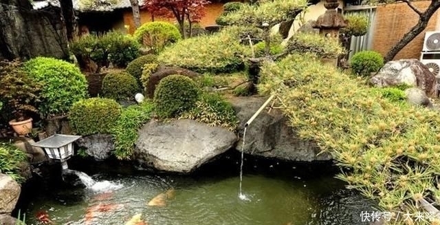 景观|有庭院的人都开始造景观鱼池了美哭了,回家也要挖一个