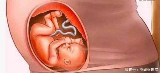宝宝是怎么被慢慢孕育出来的,十张过程图,一切来之不易