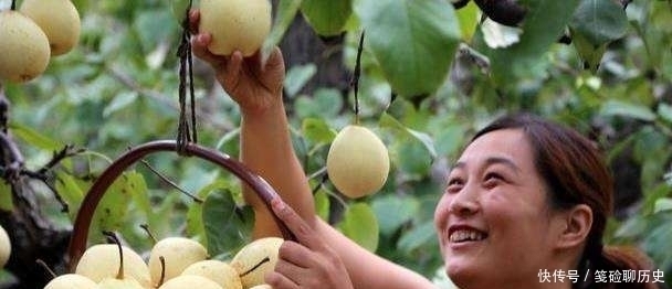 道理|俗语“男怕柿子,女怕犁,母猪最怕西瓜皮”,啥意思有道理吗