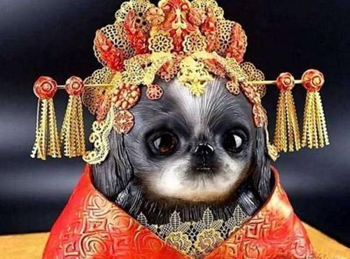 柠檬头|只看表面绝对会被骗的蛋糕,草莓逼真舍不得吃,每一个都绝了