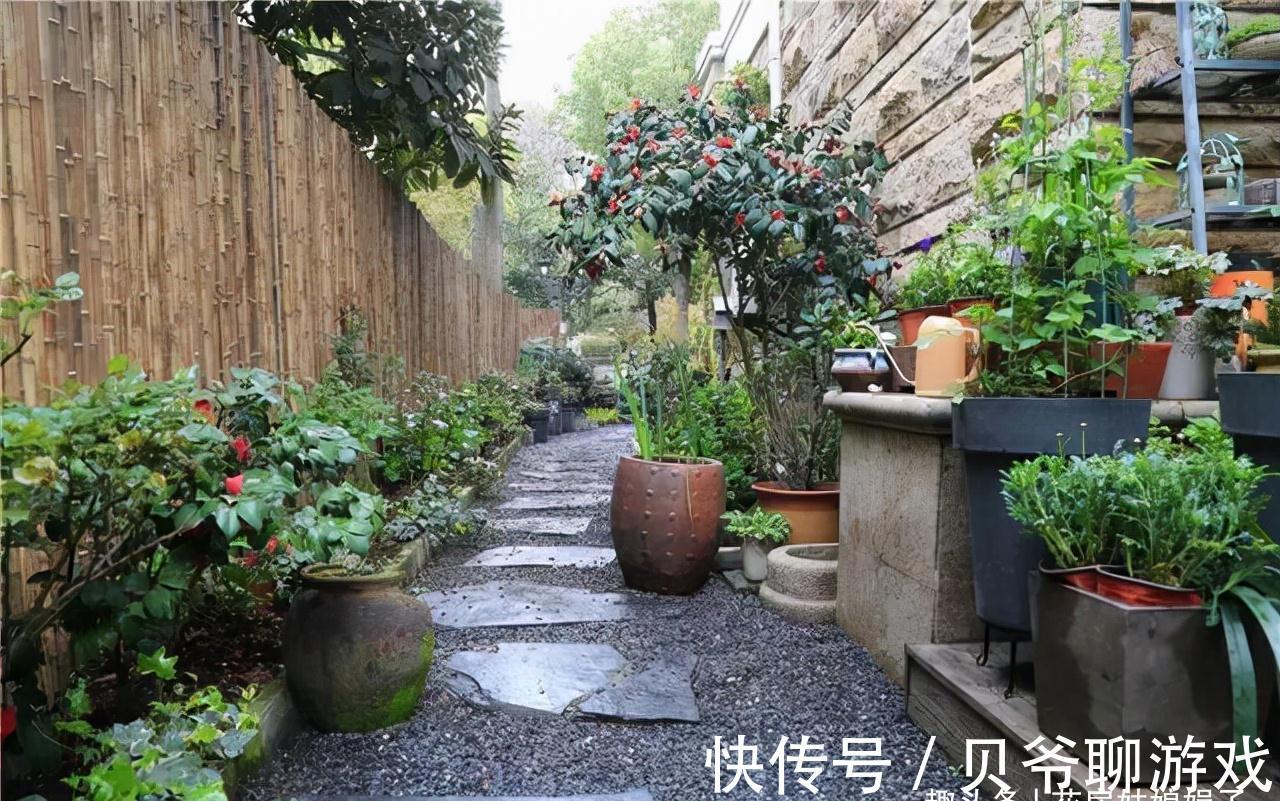 养花人都该学会的4项技能,养花方便还能省钱,轻松提升养花经验