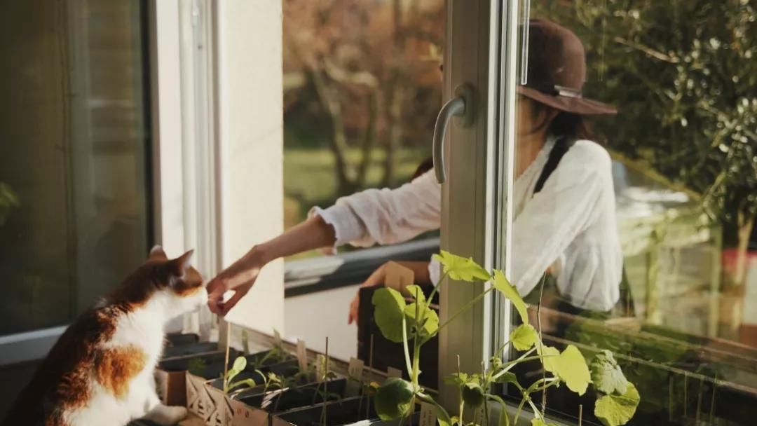 德国主妇将8㎡阳台打造成菜园，不花一分钱种够全家吃的菜