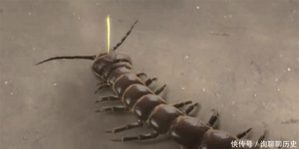 六耳猕猴的兵器究竟是什么?并非如意金箍棒,却比金箍棒珍贵百倍