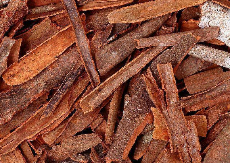 肺气|一个仅4味药的神奇配方，帮你把元气、肾气、脾气、肺气通通补足