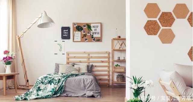 植株|生活可以绿色有情调,卧室养花种草这样摆放,简直秀翻朋友圈了