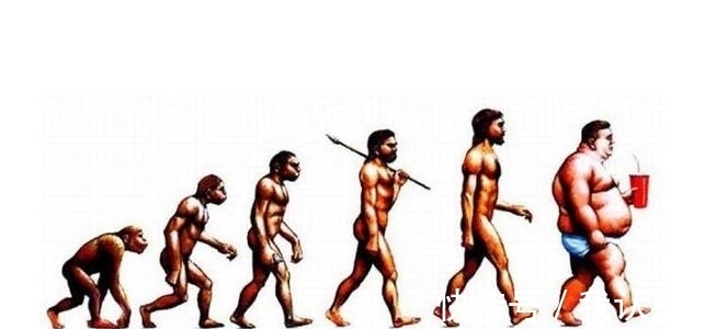 进化|乳头是男性身体上最没用的一个部位,它的作用是什么?