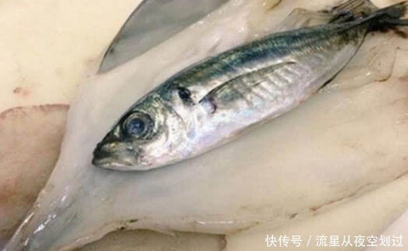 女子菜市场买大个墨鱼 回家把鱼杀好后 气得连忙拿起电话报警 快资讯