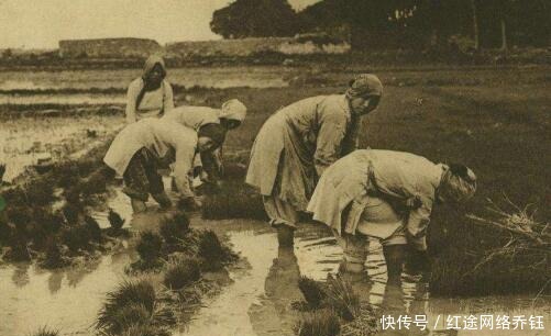 流失于日本的文物,国人嫌造型不吉祥,倭人却当国宝供奉