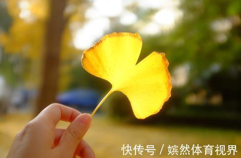 天性|教出了一个“特别懂事”的孩子,往往是父母的失败