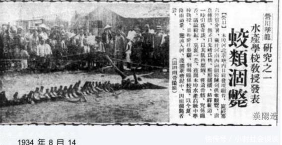 历史上的松花江坠龙是怎么回事 真的从天下坠下龙了吗 快资讯 历史上的松花江坠龙是怎么回事 真的从天下坠下龙了吗 快资讯
