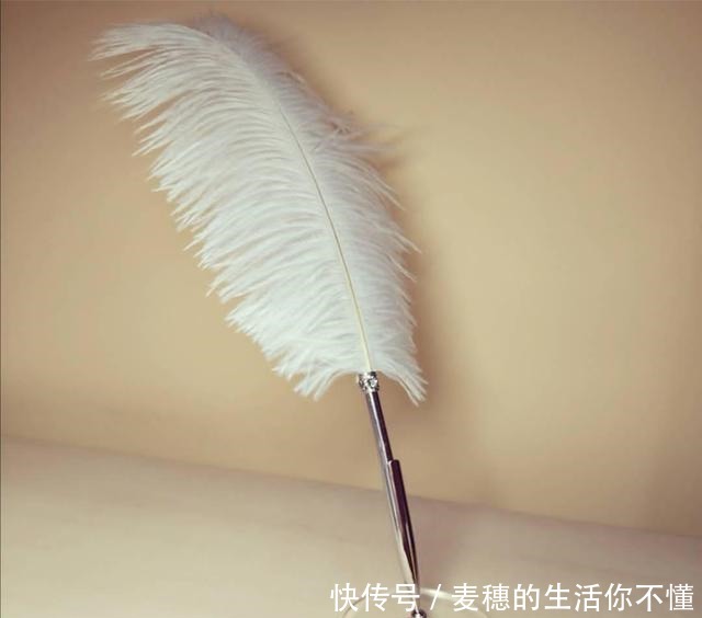 吃鸵鸟肉的人不多,为啥还那么多人养原来还有这些用途