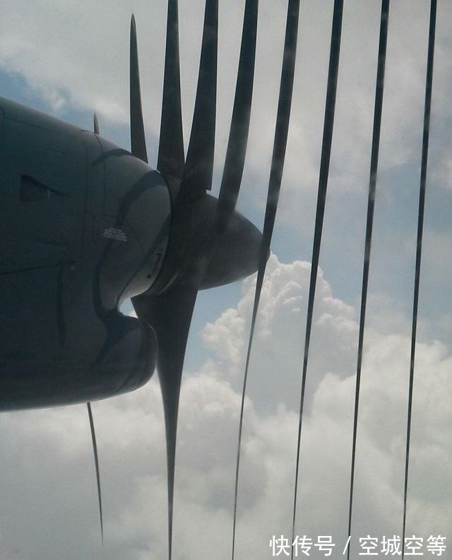 高尔夫球场#30张“活久未见”的照片:被闪电击中的木头,好像一副国画