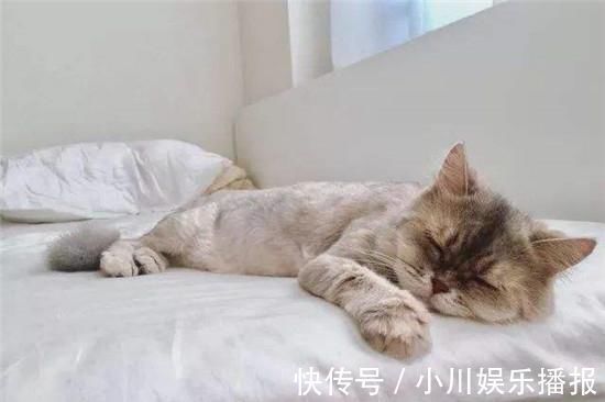 没有电热毯的被窝好冷怎么办?教你一招,被窝立马暖烘烘!