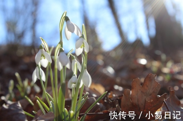 生肖|1月上半月运势“如龙似虎”，3生肖锦鲤翻身，财帛入账，告别穷酸