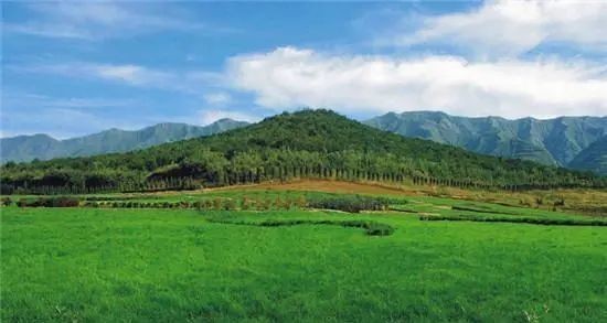 秦始皇陵|历史上秦始皇陵遭到过几次盗掘