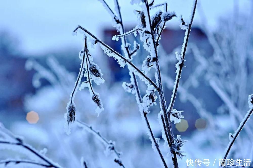 咏雪诗词！这9首咏雪诗词，不带一个雪字，却写尽雪之美！叹为观止