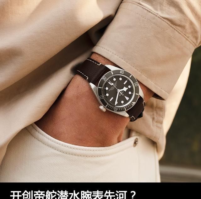 灰褐色|开创帝舵潜水腕表先河?品鉴帝舵碧湾925腕表