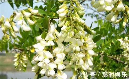 慢性疾病|秋季养生,适合常吃3种食物,补充营养,排毒抗衰,营养又瘦身