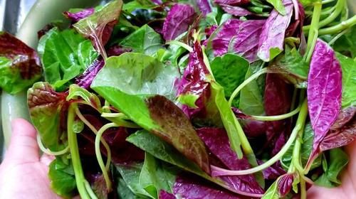 牛奶|补钙只能喝牛奶？4种蔬菜的钙含量比牛奶高，还可以防止便秘