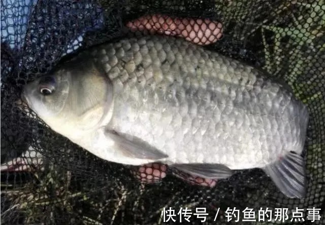 遇到这3种漂相,一定要“忍”,否则错过的都是“大家伙”