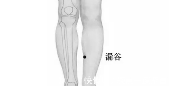 穴位|重病急病怪病都是因为这条经络不通！