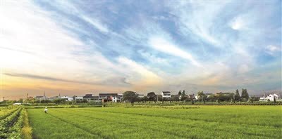 芜湖富雨闲庄开云体育- 开云体育官方网站- 开云体育APP 最新2025