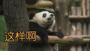 房价|定了!洛阳房价半年涨幅不得超过2%