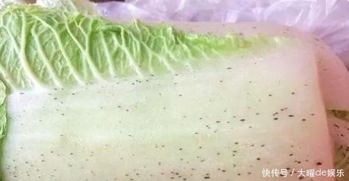  更佳|润肠抗衰护血管，维C含量是苹果10倍和这种食物一起吃营养更佳