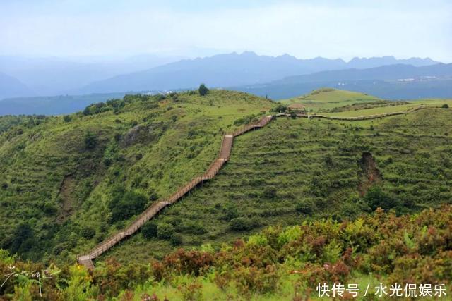 避暑胜地！“地无三尺平”的贵州，藏着一个大草原和一种传奇野果