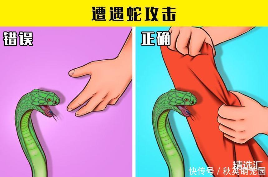 毒蘑菇|在紧急情况下，或许可以拯救生命的7个小技巧