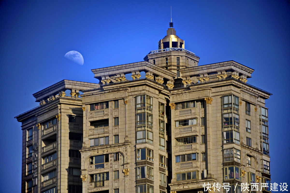 老年|新虹口花园的玉兰花开了【严建设】