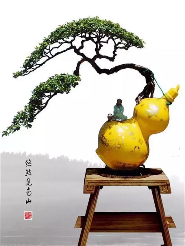 旧茶壶种点花，秒变高端盆景，卖300一个邻居抢着要