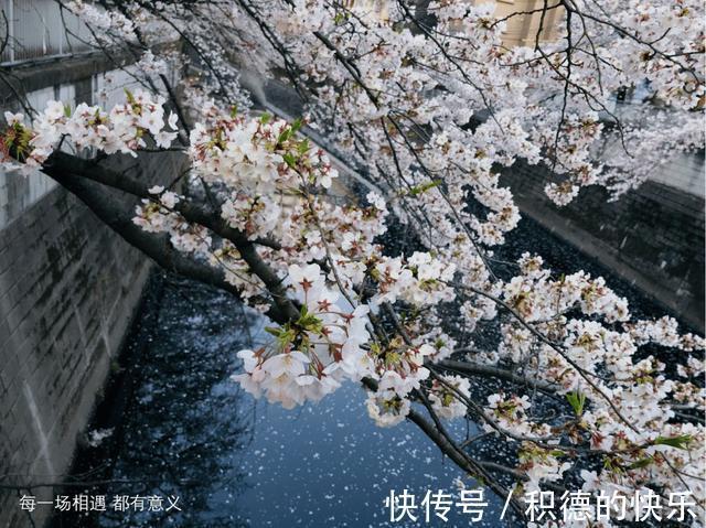 |男朋友敷衍起来是什么样 冷段子1464 & 去年今日1155