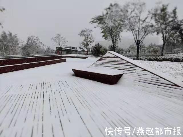 石家庄|河北大雪｜初雪至，石家庄柏林公园的园林工人清理积雪