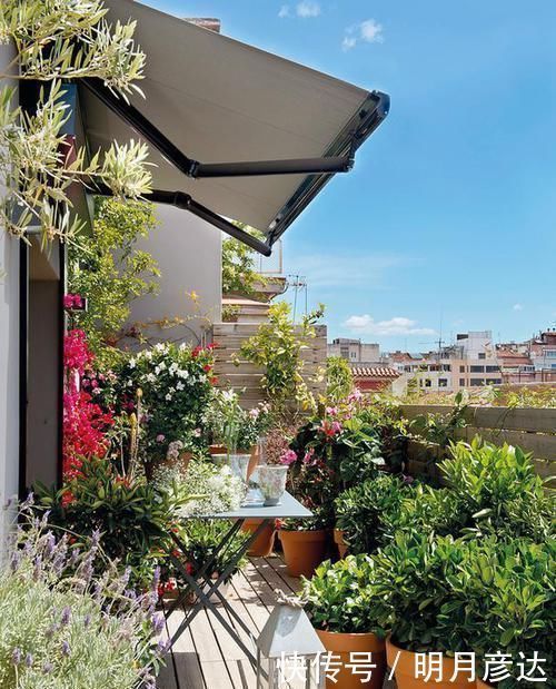百叶帘|以后阳台我也不封,这样幕布搭木架上遮阳,跟豪宅小露台一样惬意