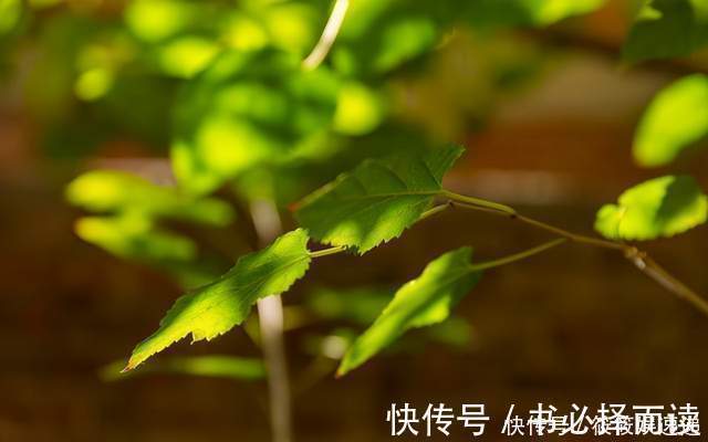 血糖|血糖高的人,身体4种表现要注意,占一个,最好检查一下血糖