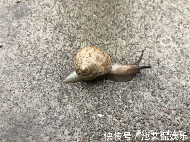 后天惊蛰,农村俗语惊蛰不冻虫,寒到五月中