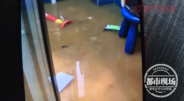 女子|女子一觉醒来，发现便池里冒出10多条鲫鱼