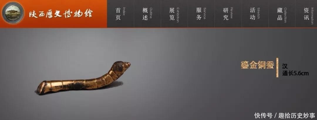 老农淘金意外发掘金蚕国宝,借路费上交博物馆,晚年患癌不要补助