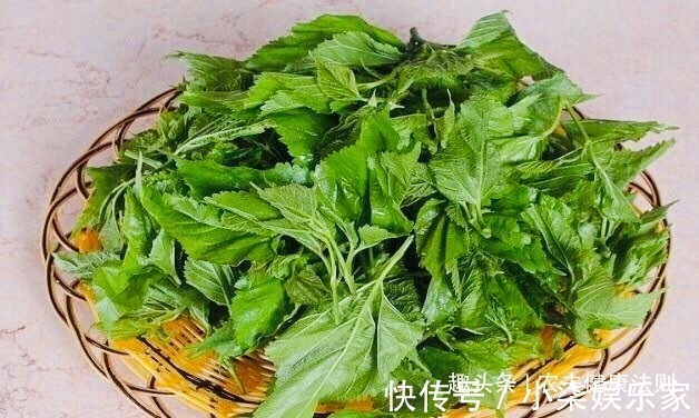 子宫污血|女性经期多喝此“补血叶”，排出子宫污血，调理月经，淡斑养颜