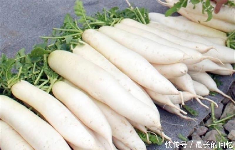 硫氰酸|白萝卜可以很好的滋补身体,但不能同此5种食物一起吃